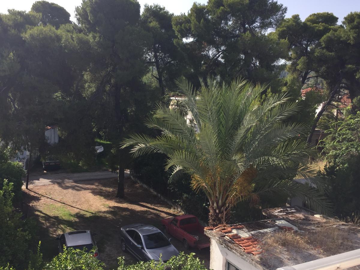 Mirtia Hotel Pefkí Kültér fotó